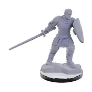 WizKids D&D Mini 28mm Reborn Paladin & Warlock Pack New