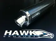 Triumph Tiger 800 2011 2012 13 Carbon Fibre Oval Road Legal Exhaust Silencer Can