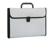 Simple large-capacity organ bag financial portable briefcase compartment folder
