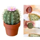 Flower Pot Shape Condiment Jar Mini Cute Salt and Pepper Grinder Set BBQ Tools