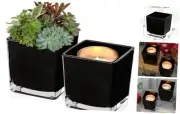 Square Glass Vase, 4" x 4" Black Cube Glass Vases Floral Planter 4", Pack 2