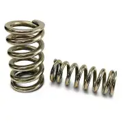 Proform BB1901 RIMAC Calibrated 3-in-1 Test Spring Kit
