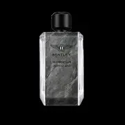 Bentley Momentum Unbreakable EDP