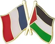 [Pinstant] France French Palestine Palestinian National Flag Crossed Flags Friendship Love Alliance Allies 1" Enamel Pin, 1 Inch, Enamel, enamel