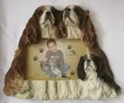 KING CHARLES CAVALIER 4 X 6 PICTURE FRAME E&S IMPORTS - NEW