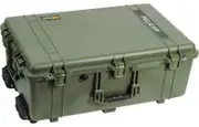 Pelican 1650 Olive Green Case