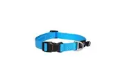Rogz Turquoise Large 20mm Wide x 34cm to 56cm Classic Utility Collar for Dogs & Puppies