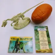 Tiny Perfect Dinosaur Series, VELOCIRAPTOR, Book, Poster, Fossilized Egg, Model
