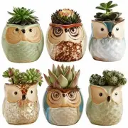 Small Glazed Home Desk Bookshelf Ceramic Novelty Owl Pots (6 pots)