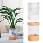 Yellow White Flower Pot Mini Box Planter Nordic Plants Pots
