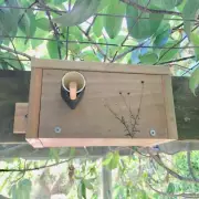 Nest Box For Pardalote Solid Wood Laser Engraved Attracting Birds