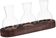 Toyvian 1 Set Clear Hydroponic Plant Vase with Sturdy Base Transparent Glass Containers for Desktop Propagation Stylish Home Decoration Plant Container