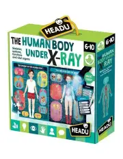 [Headu] 84 Pieces The Human Body Under X-Ray 60x35cm Puzzle 6-10y