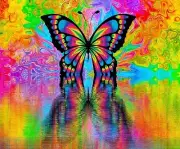 PSYCHEDELIC BUTTERFLY REFLECTION COMPUTER MOUSE PAD 9 x 7