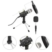 Microphone Recording Vocals On Computer Usb Microphone Laptop