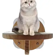 Wall Cat Shelf - Wall Mounted Perches for Sleeping Kittens | Corner Cat Shelves, Easy Install Modern Climbers for Jumping, Playing