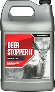 Messina Deer Stopper II Concentrate, 1-Gallon - XDC128
