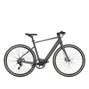 Fiido E-Gravel (C21) Step-Over Electric Bike
