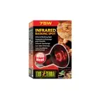 Exo Terra Heat Glo Infrared Heat Lamp 75w