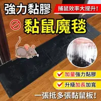 在飛比找樂天市場購物網優惠-【強力黏膠！捕鼠神器】 黏鼠魔毯 捕鼠魔毯 滅鼠魔毯 抓老鼠