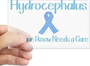 CafePress - Someone I Know Needs A Cure - Rectangle Bumper Sticker Car Decal