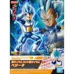 【BANDAI】組裝模型 ENTRY GRADE 七龍珠 超級賽亞人之神 超級賽亞人 達爾