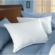 Envirosleep Dream Surrender King Pillow found at Crowne Plaza