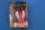 BABOON BOX 2 PARTY PRANK TOUCH HIS NOSE AND HE PLAYS 1 OF 15 MESSAGES