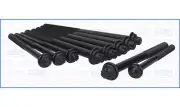 Cylinder Head Bolt Set PEUGEOT BOXER 16V 3.0 156 F1CE0481D (4/2006-)