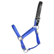 HORSE SIZE- READY MADE - Royal Blue TURNOUT HALTER Made from BETA BIOTHANE