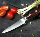 Utility Knife 67 Layers Damascus Steel Full Tang Wood Handle Slicing Paring Cut
