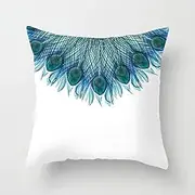 Cushion covers Cushion Covers 60cm x 60cm Black Marble Cushion Covers Invisible Zipper Sofa Cushions Outdoor Cushions Garden Cushions Linen Decorative Pillows for Home Office Car(Peacock Feather Blue,