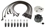 ACDelco Ignition Kit Distributor Rotor Cap Wire Spark Plugs For P30 P35 7.4 V8