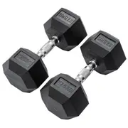 METEOR 27.5kg Rubber Hex Dumbbells, Hex Dumbbells, Fixed Weight Dumbbells, Gym Weights, Dumbbell Weights (1 Pair)