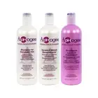 Aphogee Damaged Hair Shampoo & Leave-In Conditioner & Reconstructor Combo Set