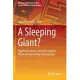 A Sleeping Giant?: Nigeria’s Domestic and International Politics in the Twenty-First Century