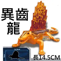 在飛比找Yahoo!奇摩拍賣優惠-K24 樂積木【現貨】第三方  異齒龍 長14.5CM 侏儸