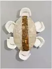 60" x 30" White Agate With Petrified Wood Table Top Home Decor Furniture