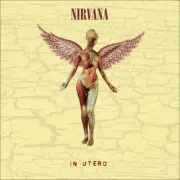 IN UTERO (30TH ANNIVERSARY) (LP/25cm ) by Nirvana [VINYL]