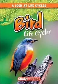 在飛比找三民網路書店優惠-Bird Life Cycles