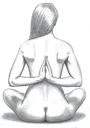 original female nude figure drawing pencil artist Jerome cadd Theme Yoga