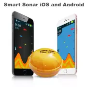 Wireless Smart Sonar Fish Finder Bluetooth IOS Android Phone Visual Fishfinder
