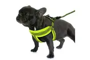 Green Adjustable Dog Harness Leash Set Mesh Pet Puppy Vest Lead For Small Medium Dog