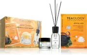 Teaology Kombucha Tea Set Energizing Gift Pack 3 Pieces