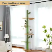 Floor to Ceiling Cat Condo Tree Cactus | Tall Cat Tree Tower | Cat Climbing Tree