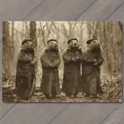 FLATCARD Groundhog Family Weird Creepy Unusual Woods Odd Fall Day Strange