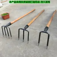 在飛比找樂天市場購物網優惠-耙子農具翻土鋼二齒三齒四齒釘耙松土耙兩齒鎬錳鋼三四齒鋤頭大號