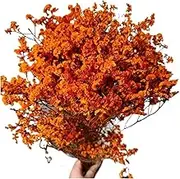Preserved Crystal Grass Bouquet, Household Flower Arrangement, DIY Bouquet, Backdrop Decor Materials, Wedding Decoration(Orange)