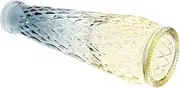 MUCKLILY Gradient Color Embossed Glass Vase Decorative Flower Holder for Home Office European Style Terrarium Vase for Buds Single Stems Elegant Table Centerpiece