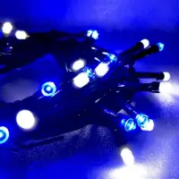 在飛比找Yahoo奇摩購物中心優惠-摩達客 50燈LED燈串聖誕燈(藍白光綠線插電式)(附控制器